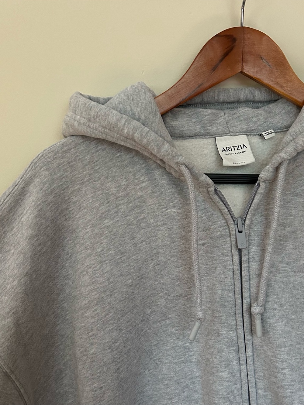 Aritzia Sweatshirt